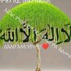 sufian.emarufa