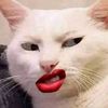 cii_here