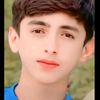 faizan.gull833