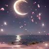 user58409211871135