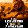 keyton.alma.eniel