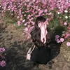 izm_155