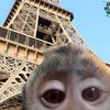 aishkawill