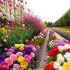 sarfarazkhan9979