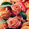 loubna.loulou540