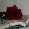 soso.sy704