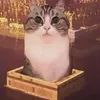 _457560
