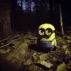 novveemberr.1