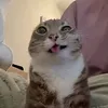 kehitysvammane8