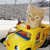 aicar