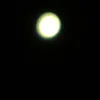 ilgd44