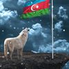 ismayil4023