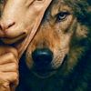 fares.ayoub03