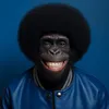 mrbonoboo
