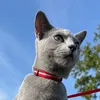 rockytherussianbluekitty