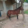 user63344328138000