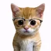 explainedbykitty1