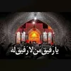 حب بلا خصام