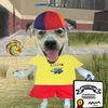 patrick.whitmer47