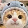 animais.de.estima1