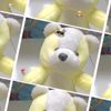 shella__13__