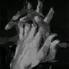 suri_2905