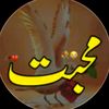 Dua_writes