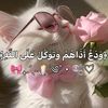 douaa.douaa.israa