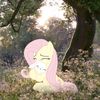 saselya3