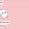 vn.khim19