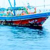 ali.hassan.jat084