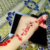 4810jani.g