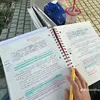 tainanleee