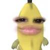 av0cadocute