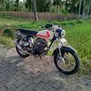 stad_ali