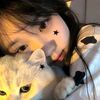 lovely.opl7