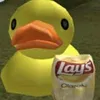 duckatwar1924