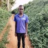 amoskengere