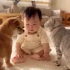 犬たち🐕🐈👶