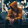 bfan6613lnu