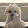 sophie.tokinspo