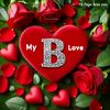biraanuu.toshe3