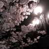 aiko_o228