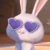 yaneilin.sharle