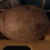 potato_1234286