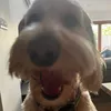 eliob85