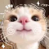 cừu