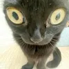 troco_nao_vendo_meusever