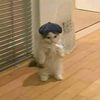 min_cat2