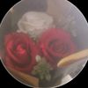 user5306101542217